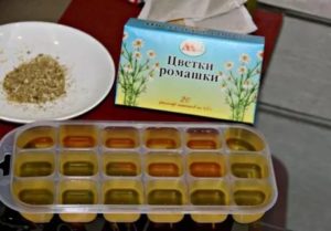 Можно ли лечить цистит чистотелом