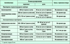 Сколько раз в день принимать амоксициллин при цистите