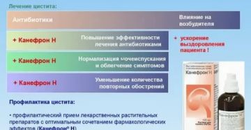 Можно ли вылечить цистит без антибиотиков в домашних условиях