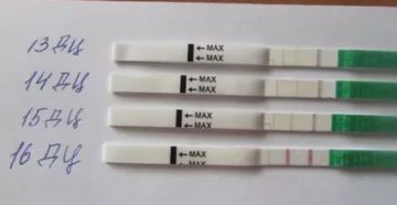 Как долго может не быть месячных после отмены ок хлое