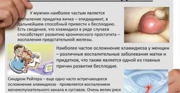Можно ли целоваться во время лечения от хламидиоза