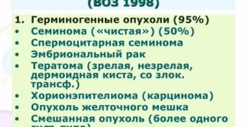 Классификация злокачественных опухолей яичка