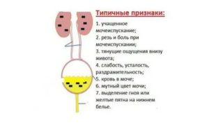 При простатите что помогает мочеиспусканию у