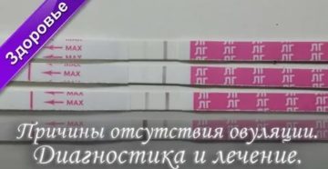 Почему нет овуляции при регулярных месячных лечение Почему нет овуляции при регулярных месячных лечение
