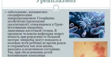 Может ли через слюну передаться уреаплазмоз
