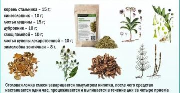 Лещина обыкновенная применение в медицине при простатите