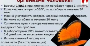 Сколько времени живет вирус вич вне организма человека